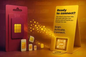 SIM to eSIM Packaging Systems Machines Vision and Throughput at Scale